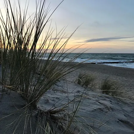 Moewennest App 2 公寓 *