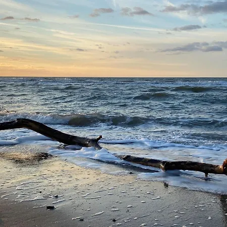 公寓 Moewennest App 2